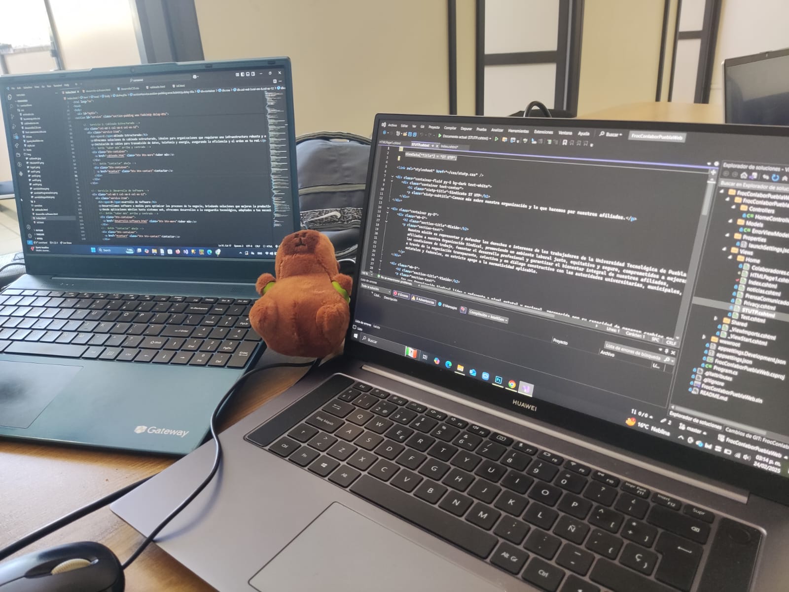 Desarrollo de Software